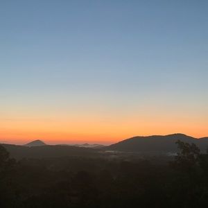 Meet your Posher, Shea